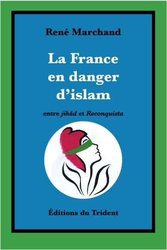 Couverture La France en danger d'islam